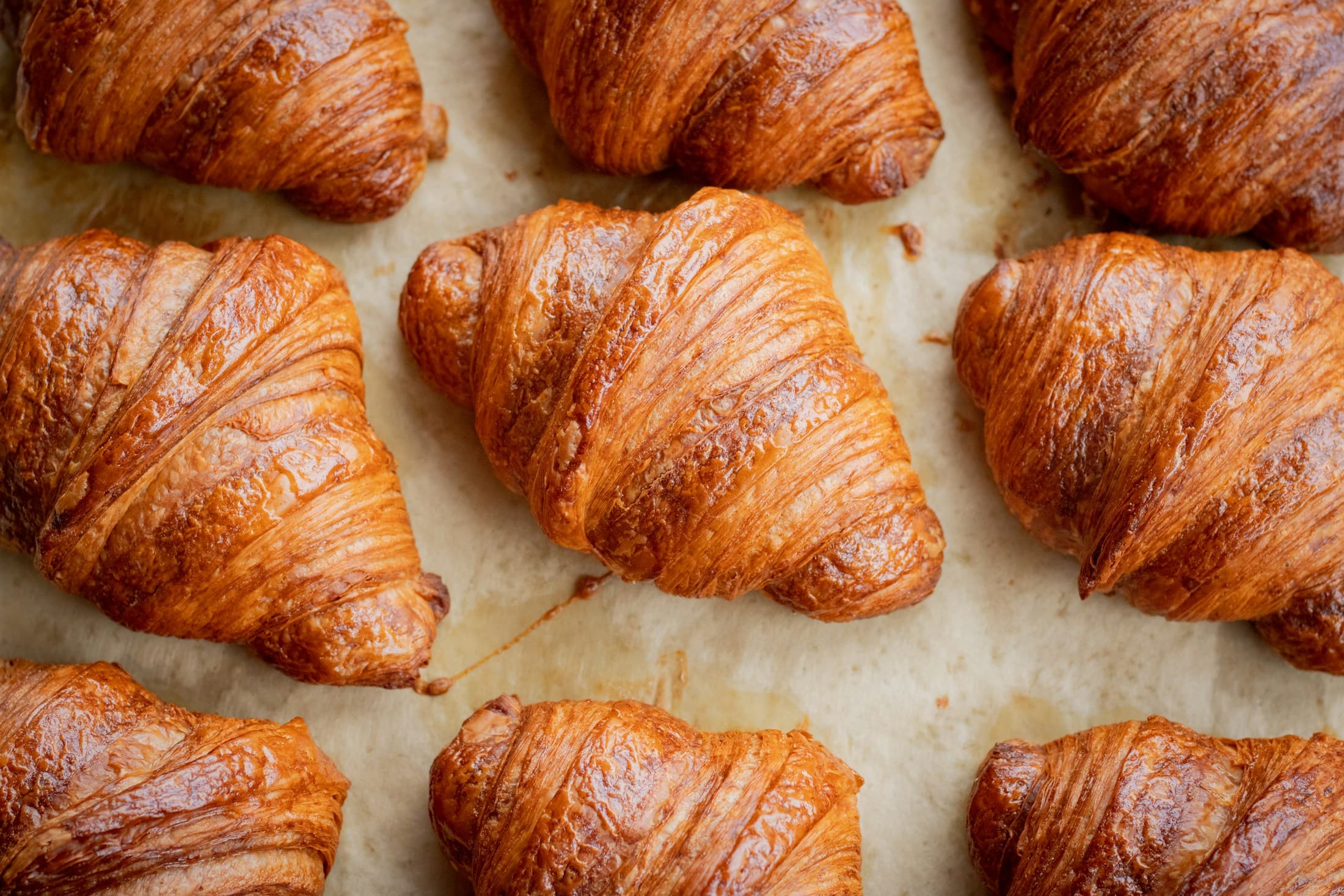 Croissants feuilletés sur une plaque de cuisson